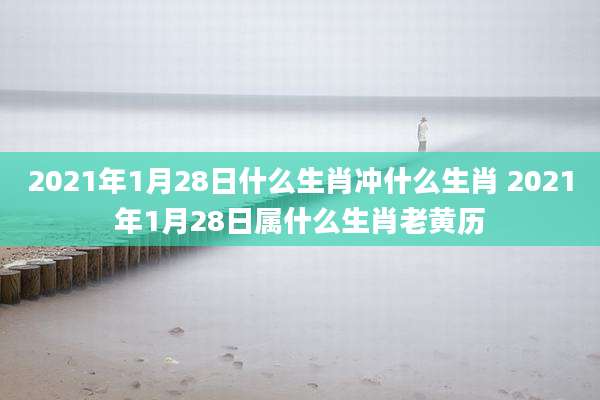 2021年1月28日什么生肖冲什么生肖 2021年1月28日属什么生肖老黄历