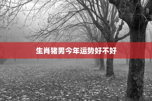 生肖猪男今年运势好不好