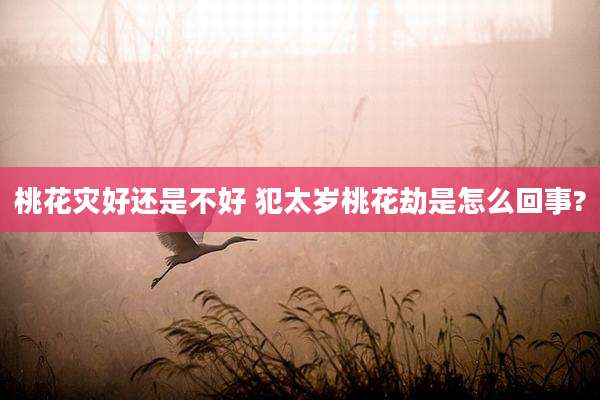 桃花灾好还是不好 犯太岁桃花劫是怎么回事?