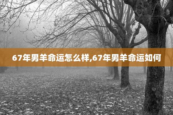 67年男羊命运怎么样,67年男羊命运如何