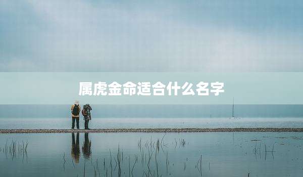 属虎金命适合什么名字