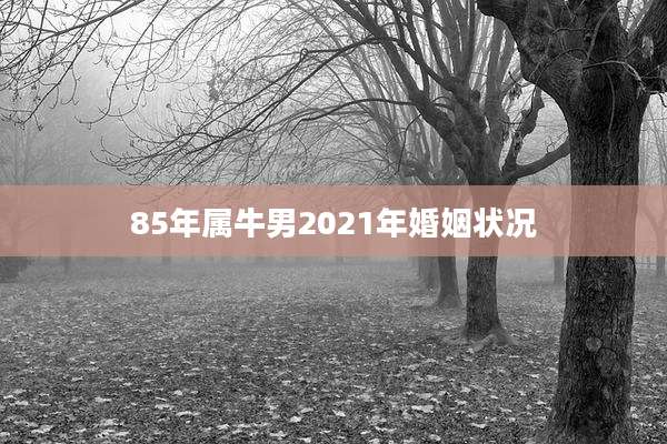 85年属牛男2021年婚姻状况
