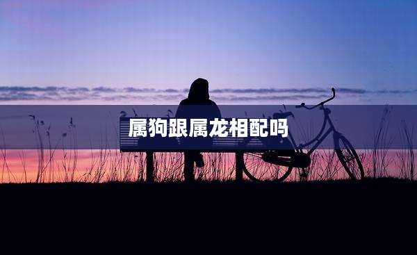 属狗跟属龙相配吗