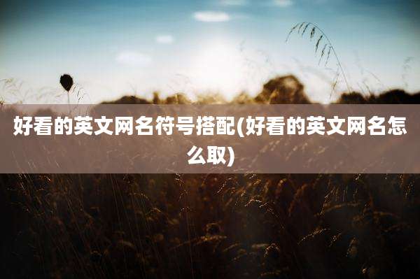 好看的英文网名符号搭配(好看的英文网名怎么取)