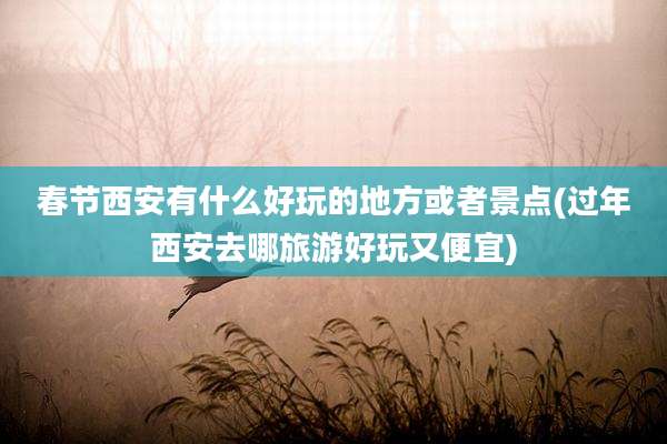 春节西安有什么好玩的地方或者景点(过年西安去哪旅游好玩又便宜)