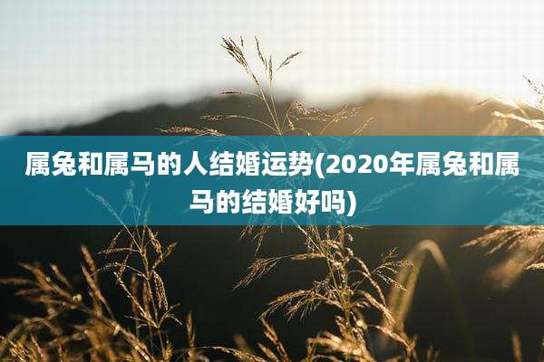 属兔和属马的人结婚运势(2020年属兔和属马的结婚好吗)