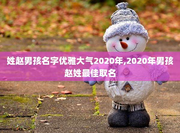 姓赵男孩名字优雅大气2020年,2020年男孩赵姓最佳取名