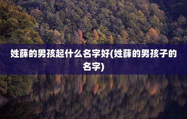 姓薛的男孩起什么名字好(姓薛的男孩子的名字)