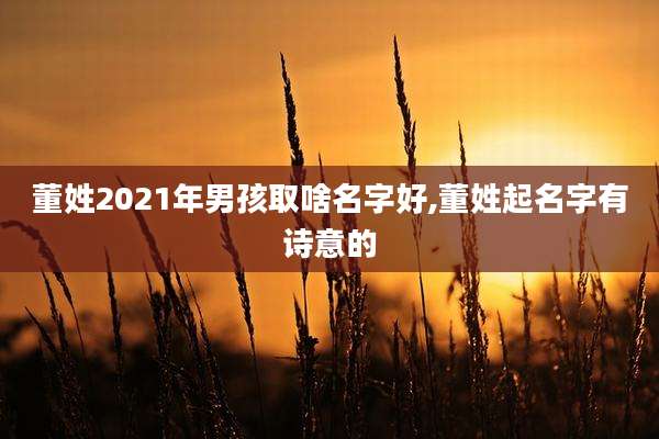 董姓2021年男孩取啥名字好,董姓起名字有诗意的