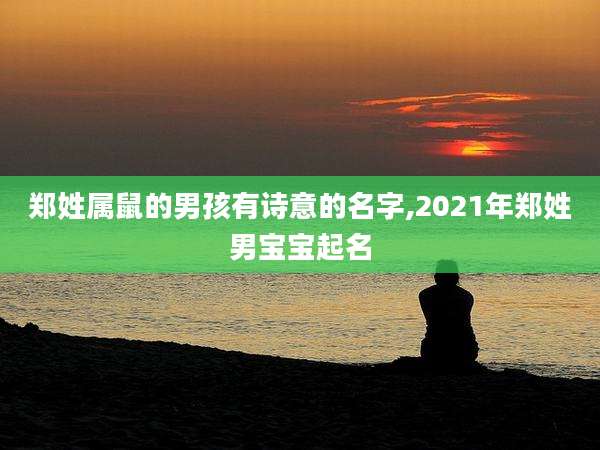 郑姓属鼠的男孩有诗意的名字,2021年郑姓男宝宝起名