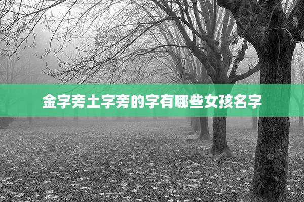 金字旁土字旁的字有哪些女孩名字