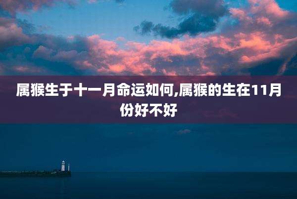 属猴生于十一月命运如何,属猴的生在11月份好不好