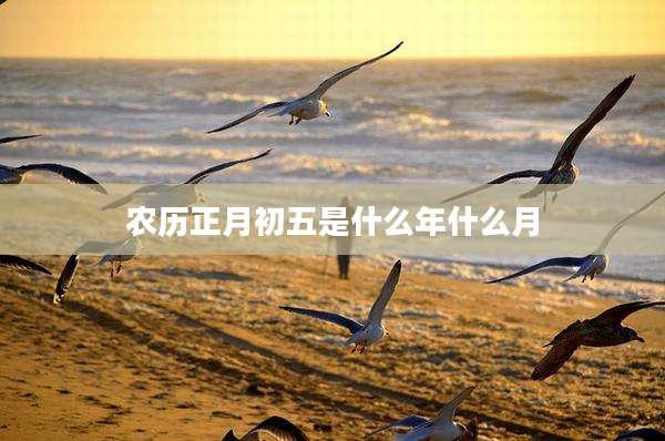 农历正月初五是什么年什么月