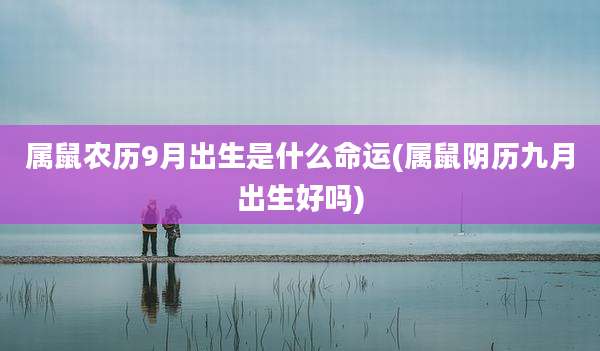 属鼠农历9月出生是什么命运(属鼠阴历九月出生好吗)