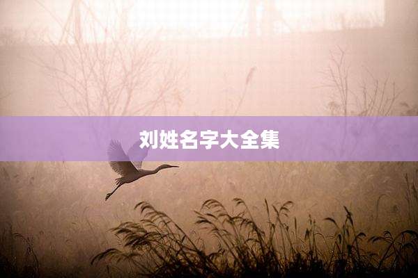 刘姓名字大全集