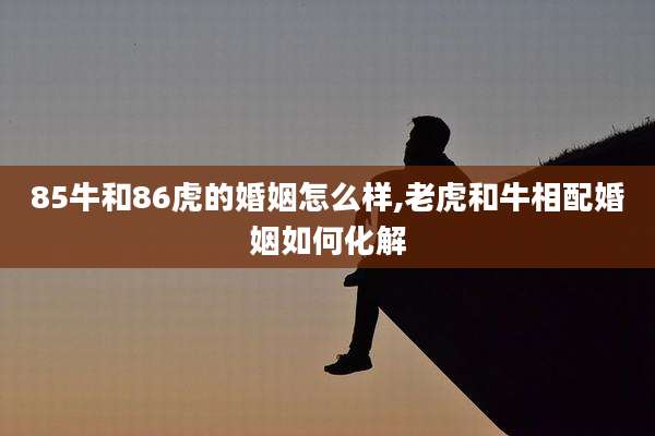 85牛和86虎的婚姻怎么样,老虎和牛相配婚姻如何化解