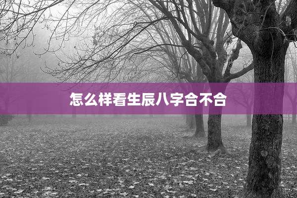 怎么样看生辰八字合不合