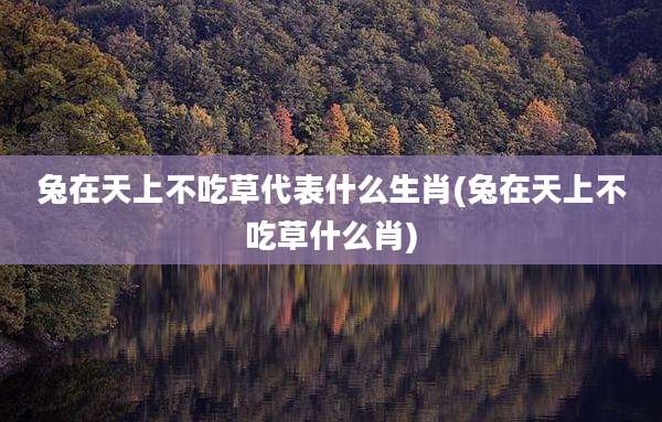兔在天上不吃草代表什么生肖(兔在天上不吃草什么肖)