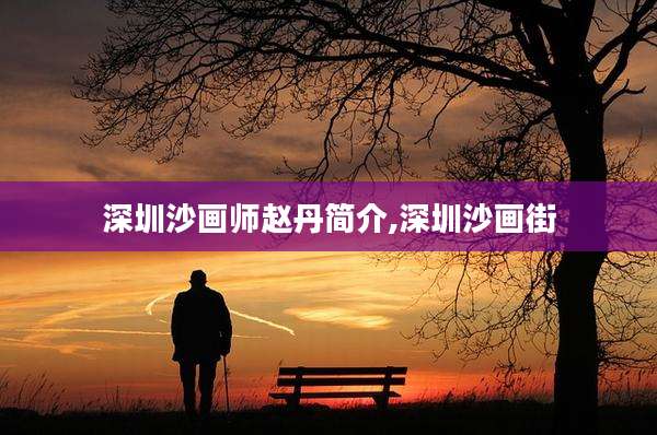 深圳沙画师赵丹简介,深圳沙画街