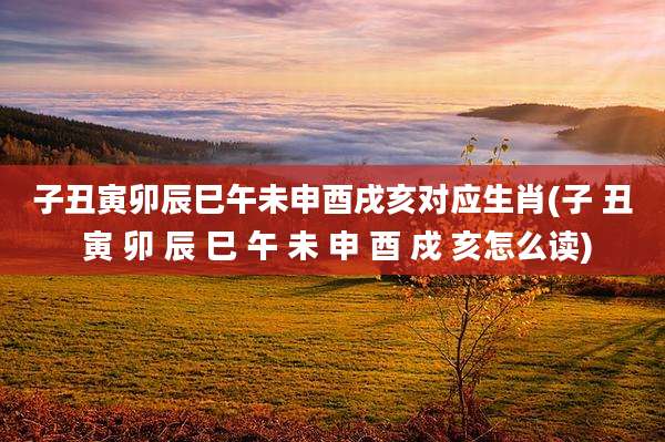 子丑寅卯辰巳午未申酉戌亥对应生肖(子 丑 寅 卯 辰 巳 午 未 申 酉 戍 亥怎么读)