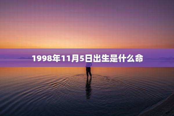 1998年11月5日出生是什么命