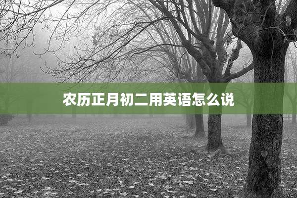 农历正月初二用英语怎么说