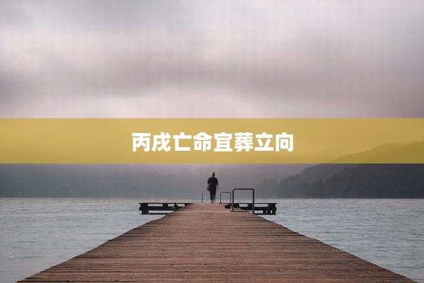 丙戌亡命宜葬立向