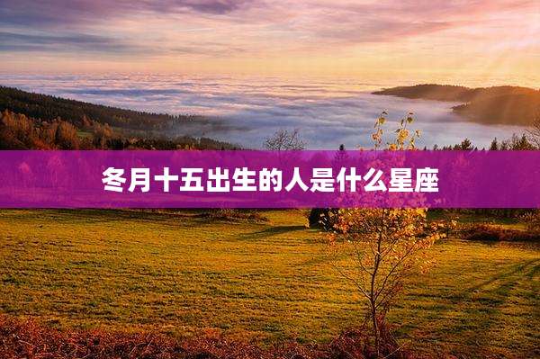 冬月十五出生的人是什么星座