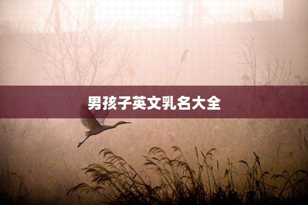男孩子英文乳名大全