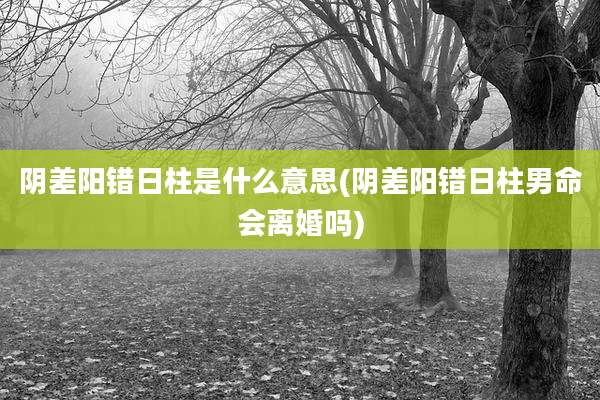 阴差阳错日柱是什么意思(阴差阳错日柱男命会离婚吗)