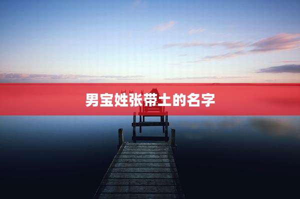 男宝姓张带土的名字