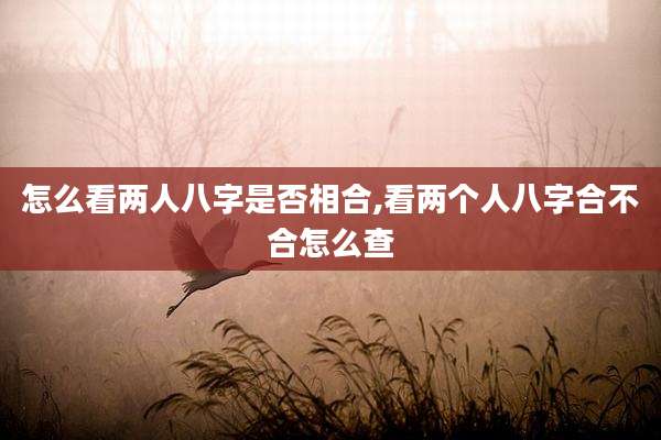 怎么看两人八字是否相合,看两个人八字合不合怎么查
