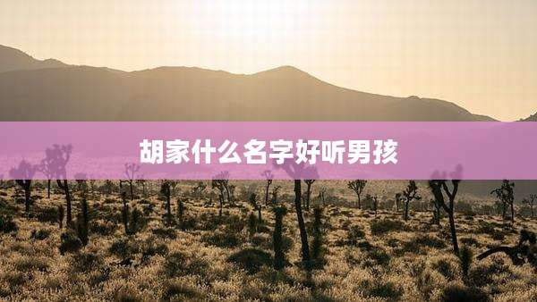 胡家什么名字好听男孩