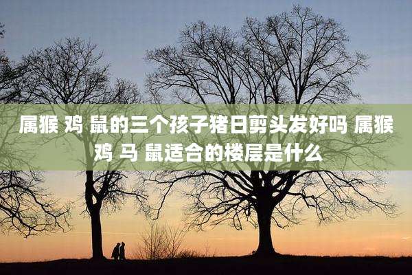 属猴 鸡 鼠的三个孩子猪日剪头发好吗 属猴 鸡 马 鼠适合的楼层是什么