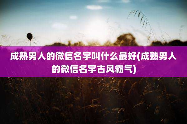 成熟男人的微信名字叫什么最好(成熟男人的微信名字古风霸气)