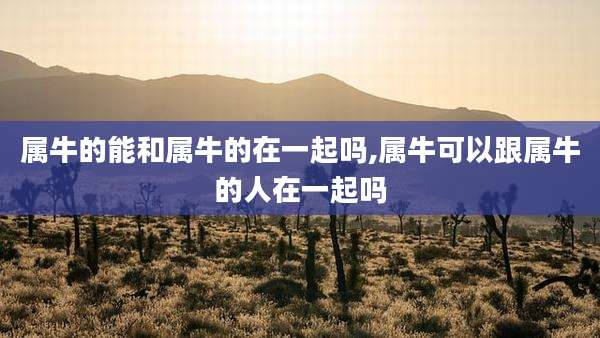 属牛的能和属牛的在一起吗,属牛可以跟属牛的人在一起吗