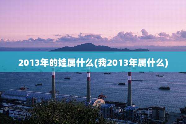 2013年的娃属什么(我2013年属什么)