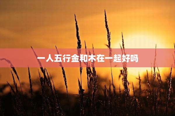 一人五行金和木在一起好吗
