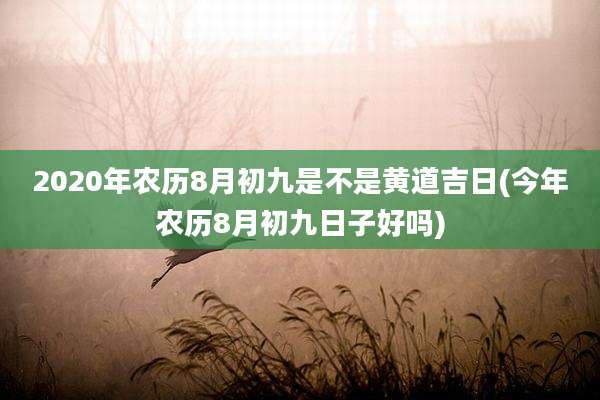2020年农历8月初九是不是黄道吉日(今年农历8月初九日子好吗)
