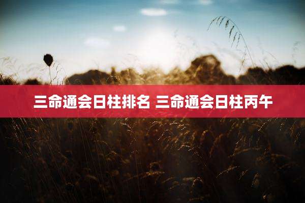 三命通会日柱排名 三命通会日柱丙午