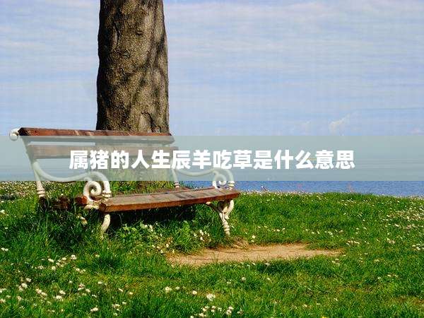 属猪的人生辰羊吃草是什么意思