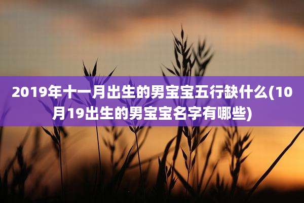 2019年十一月出生的男宝宝五行缺什么(10月19出生的男宝宝名字有哪些)