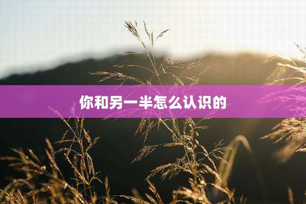 你和另一半怎么认识的