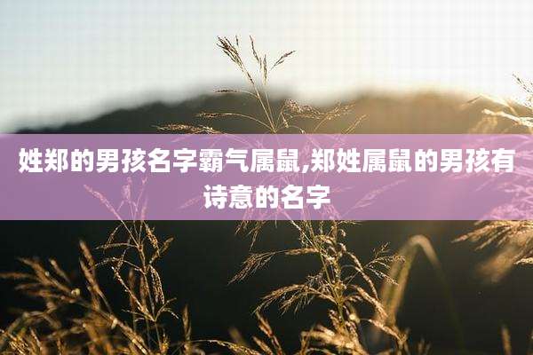 姓郑的男孩名字霸气属鼠,郑姓属鼠的男孩有诗意的名字
