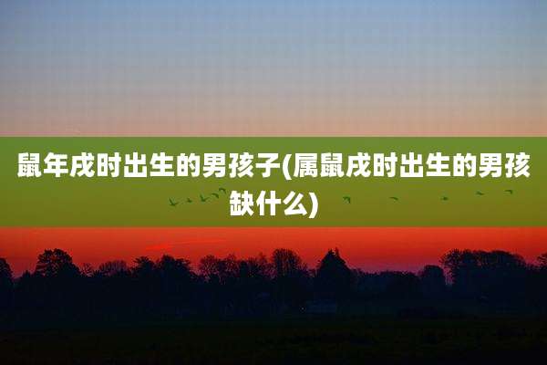 鼠年戌时出生的男孩子(属鼠戌时出生的男孩缺什么)