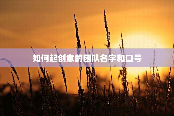 如何起创意的团队名字和口号