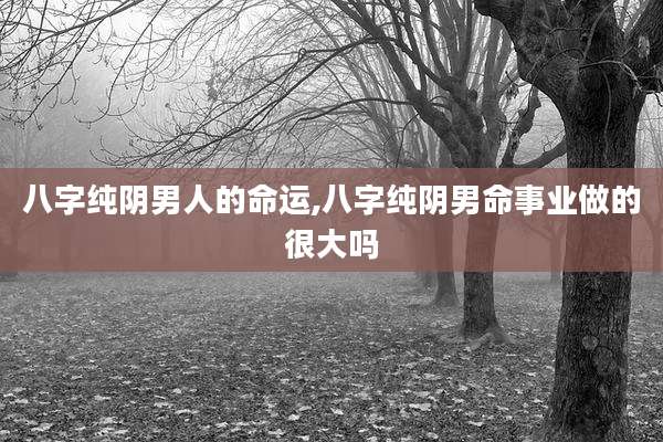 八字纯阴男人的命运,八字纯阴男命事业做的很大吗