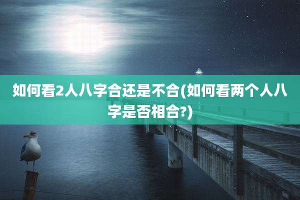如何看2人八字合还是不合(如何看两个人八字是否相合?)