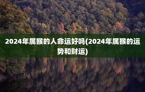 2024年属猴的人命运好吗(2024年属猴的运势和财运)
