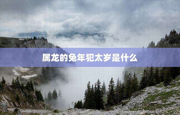 属龙的兔年犯太岁是什么